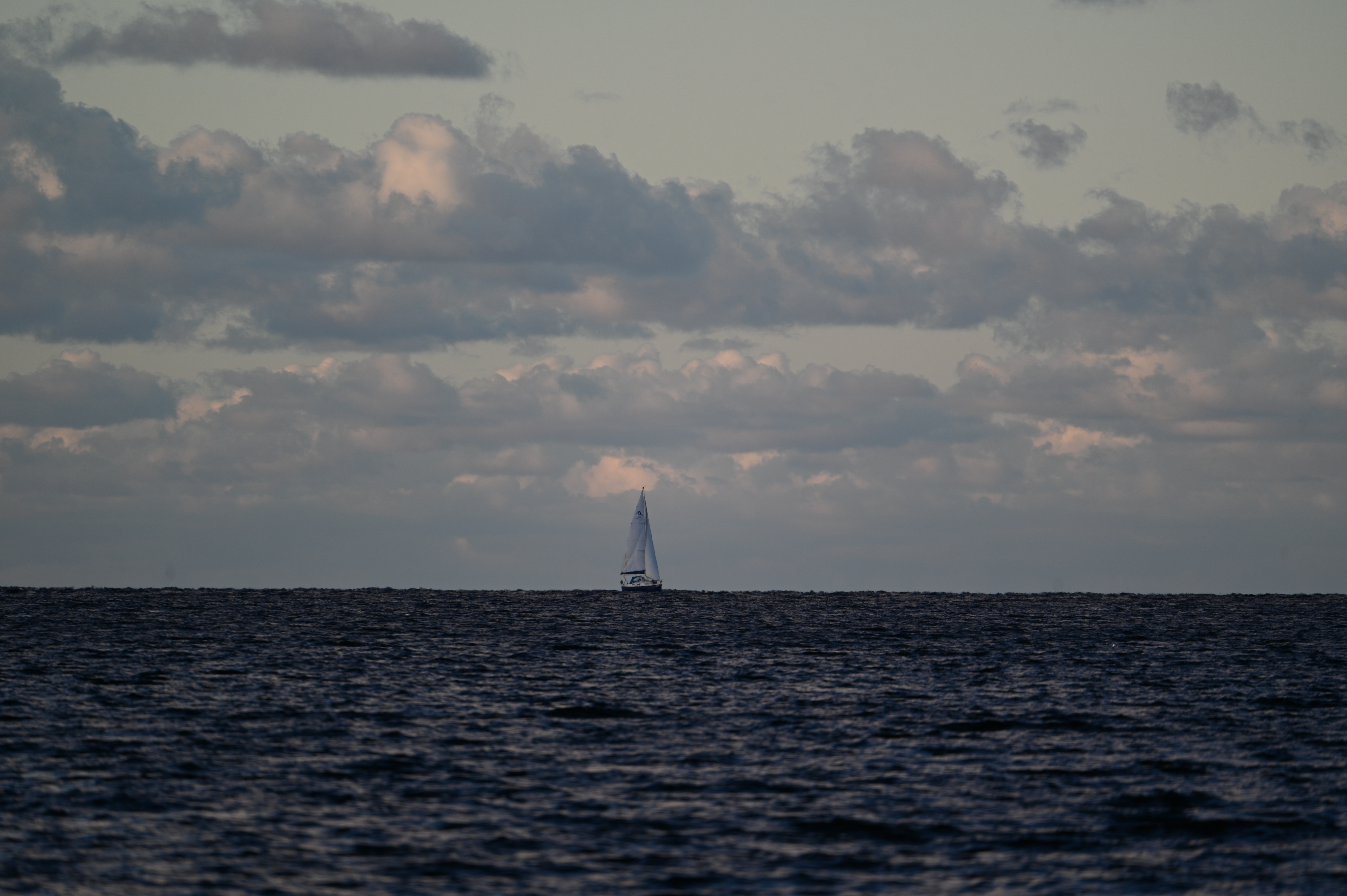 2025/10/18 - walk/DSC_0242.JPG